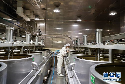 探訪進(jìn)博會(huì)參展商 韓國(guó)綠色食品企業(yè)圃美多的豆腐工廠